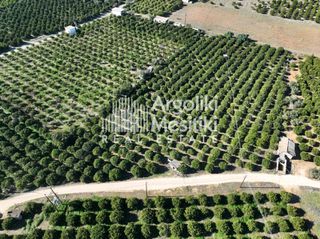 Αγροτεμάχια 8.564 τ.μ. για πώληση, Αργολίδα, Νέα Τίρυνθα-thumb-24