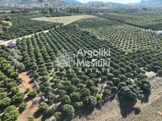 Αγροτεμάχια 8.564 τ.μ. για πώληση, Αργολίδα, Νέα Τίρυνθα-thumb-14