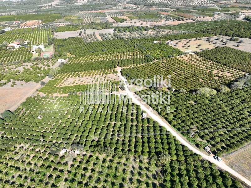 Αγροτεμάχια 8.564 τ.μ. προς πώληση, Άγιος Αδριανός