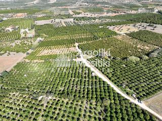 Αγροτεμάχια 8.564 τ.μ. για πώληση, Αργολίδα, Νέα Τίρυνθα-thumb-3