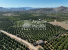 Parcel 8.564sqm for sale-Nea Tirintha » Agios Adrianos
