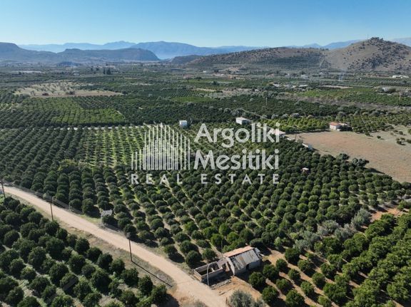 Αγροτεμάχια 8.564 τ.μ. για πώληση, Αργολίδα, Νέα Τίρυνθα