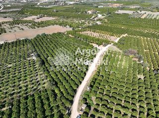 Αγροτεμάχια 8.564 τ.μ. για πώληση, Αργολίδα, Νέα Τίρυνθα-thumb-18