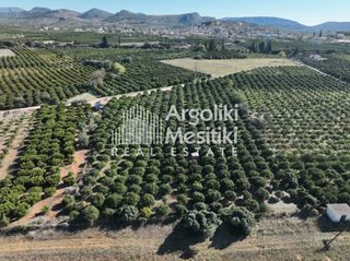 Αγροτεμάχια 8.564 τ.μ. για πώληση, Αργολίδα, Νέα Τίρυνθα-thumb-20