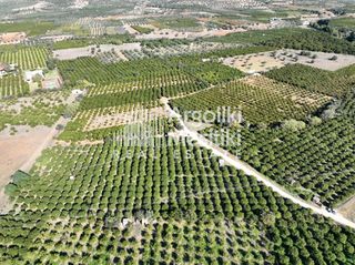 Αγροτεμάχια 8.564 τ.μ. για πώληση, Αργολίδα, Νέα Τίρυνθα-thumb-4