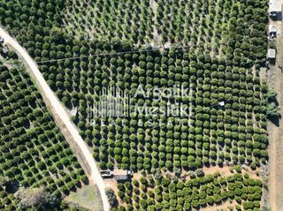 Αγροτεμάχια 8.564 τ.μ. για πώληση, Αργολίδα, Νέα Τίρυνθα-thumb-11