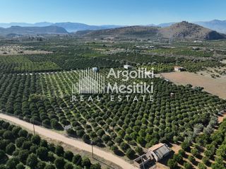 Αγροτεμάχια 8.564 τ.μ. για πώληση, Αργολίδα, Νέα Τίρυνθα-thumb-23