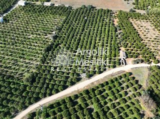Αγροτεμάχια 8.564 τ.μ. για πώληση, Αργολίδα, Νέα Τίρυνθα-thumb-2