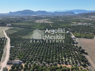 Αγροτεμάχια 8.564 τ.μ. για πώληση, Αργολίδα, Νέα Τίρυνθα-thumb-15
