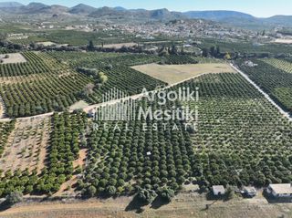 Αγροτεμάχια 8.564 τ.μ. για πώληση, Αργολίδα, Νέα Τίρυνθα-thumb-12