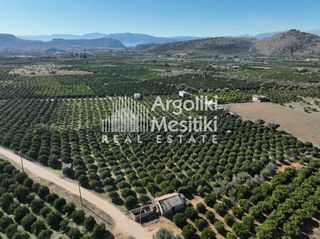 Αγροτεμάχια 8.564 τ.μ. για πώληση, Αργολίδα, Νέα Τίρυνθα-thumb-10