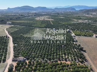 Αγροτεμάχια 8.564 τ.μ. για πώληση, Αργολίδα, Νέα Τίρυνθα-thumb-21