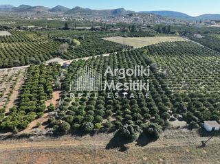 Αγροτεμάχια 8.564 τ.μ. για πώληση, Αργολίδα, Νέα Τίρυνθα-thumb-6