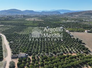 Αγροτεμάχια 8.564 τ.μ. για πώληση, Αργολίδα, Νέα Τίρυνθα-thumb-9