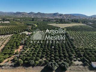 Αγροτεμάχια 8.564 τ.μ. για πώληση, Αργολίδα, Νέα Τίρυνθα-thumb-7
