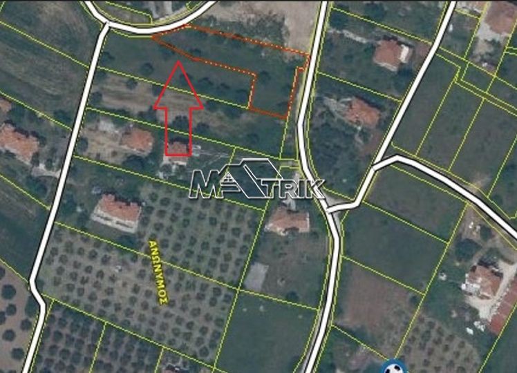 Αγροτεμάχια 1.735 τ.μ. προς πώληση, Νικήτη