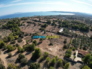Οικόπεδο 4.218 τ.μ. για πώληση, Αργολίδα, Κρανίδι-thumb-1