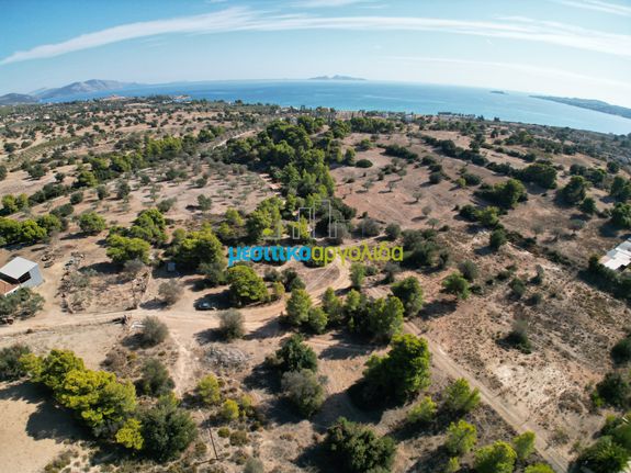 Οικόπεδο 4.218 τ.μ. για πώληση, Αργολίδα, Κρανίδι