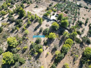Οικόπεδο 4.218 τ.μ. για πώληση, Αργολίδα, Κρανίδι-thumb-3