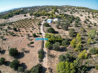 Οικόπεδο 4.218 τ.μ. για πώληση, Αργολίδα, Κρανίδι-thumb-12