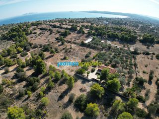 Οικόπεδο 4.218 τ.μ. για πώληση, Αργολίδα, Κρανίδι-thumb-5