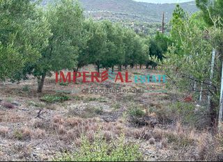 Αγροτεμάχια 3.124 τ.μ. προς πώληση, Πολύγυρος-thumb-4