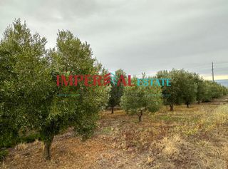 Αγροτεμάχια 3.124 τ.μ. προς πώληση, Πολύγυρος-thumb-7