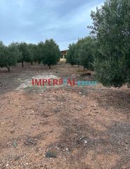 Αγροτεμάχια 3.124 τ.μ. προς πώληση, Πολύγυρος-thumb-11