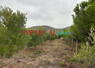 Αγροτεμάχια 3.124 τ.μ. προς πώληση, Πολύγυρος-thumb-6