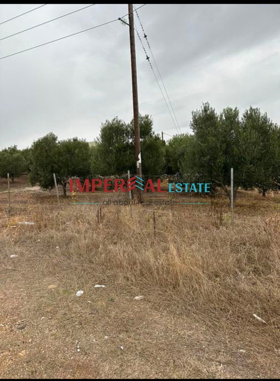 Αγροτεμάχια 3.124 τ.μ. πρός πώληση, Χαλκιδική, Πολύγυρος