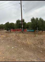 Αγροτεμάχια 3.124 τ.μ. προς πώληση, Πολύγυρος-thumb-2