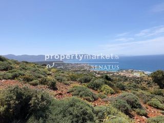 Οικόπεδο 15.000 τ.μ. για πώληση