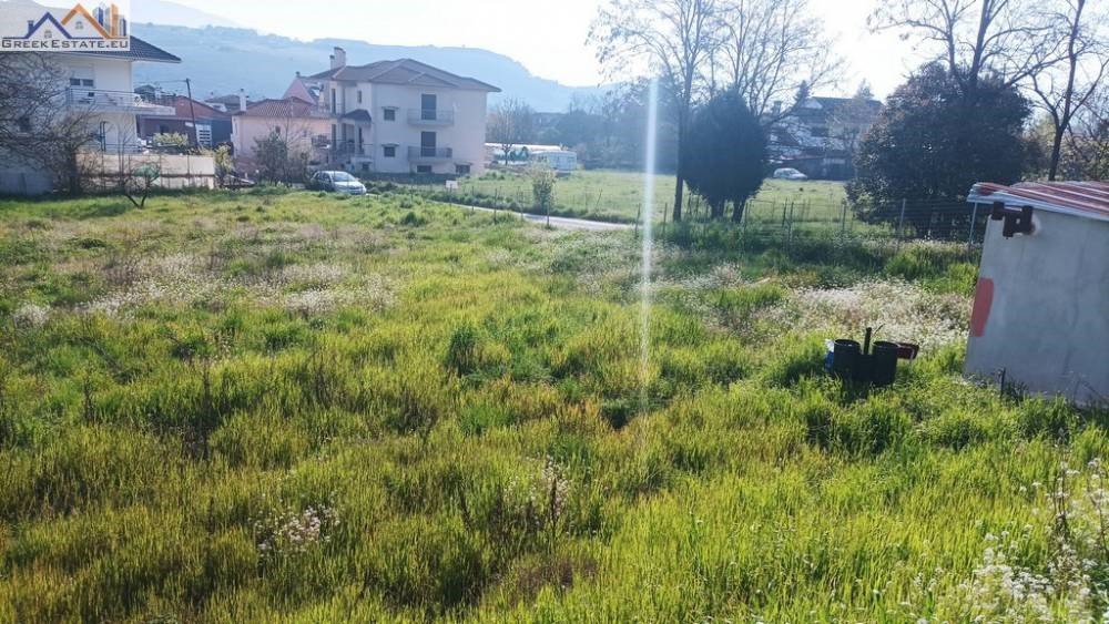 Οικόπεδο 1.046 τ.μ. προς πώληση, Σταυράκι