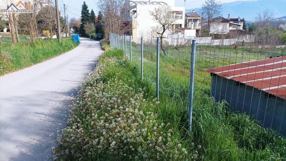 Οικόπεδο 1.046 τ.μ. προς πώληση, Σταυράκι