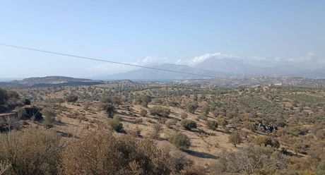 Οικόπεδο 3.400 τ.μ. για πώληση