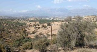 Οικόπεδο 3.400 τ.μ. προς πώληση, Λίσταρος-thumb-3