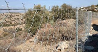 Οικόπεδο 3.400 τ.μ. προς πώληση, Λίσταρος-thumb-4