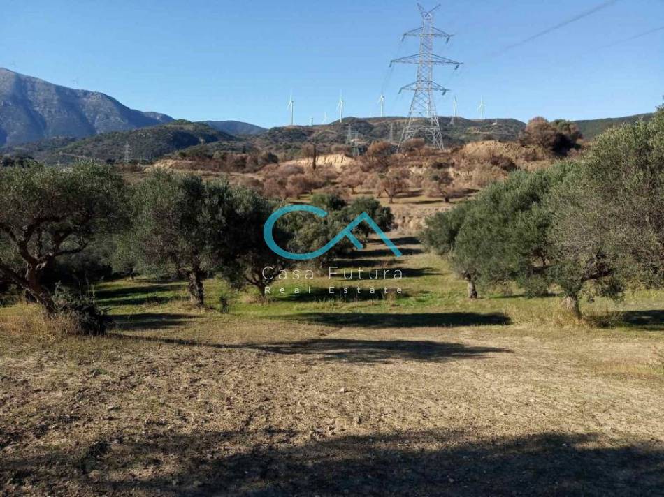 Οικόπεδο 7.231 τ.μ. πρός πώληση, Αιτωλοακαρνανία, Αντίρριο