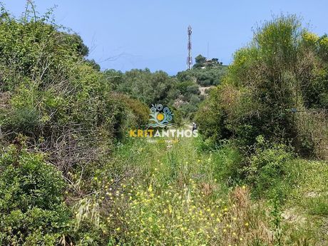 Αγροτεμάχια 2.054,74 τ.μ. για πώληση