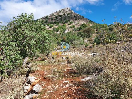 Οικόπεδο 21.000τ.μ. για πώληση-Κουλουκώνας » Αγιά