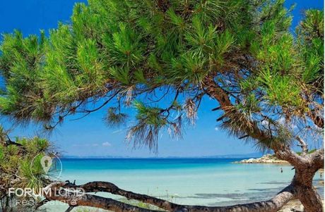 Αγροτεμάχια 32.000.000τ.μ. για πώληση-Τορώνη » Σάρτη