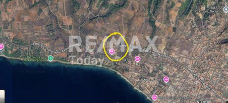 Αγροτεμάχια 4.020 τ.μ. για πώληση