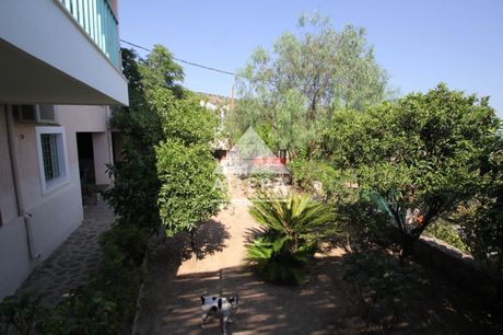 Detached home 80sqm for rent-Aegina » Sfentouri