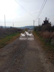 Αγροτεμάχια 15.500 τ.μ. για πώληση, Εβρος, Ορεστιάδα-thumb-2