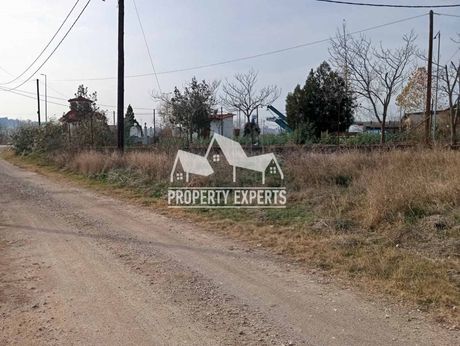 Αγροτεμάχια 15.500τ.μ. για πώληση-Ορεστιάδα » Λεπτή