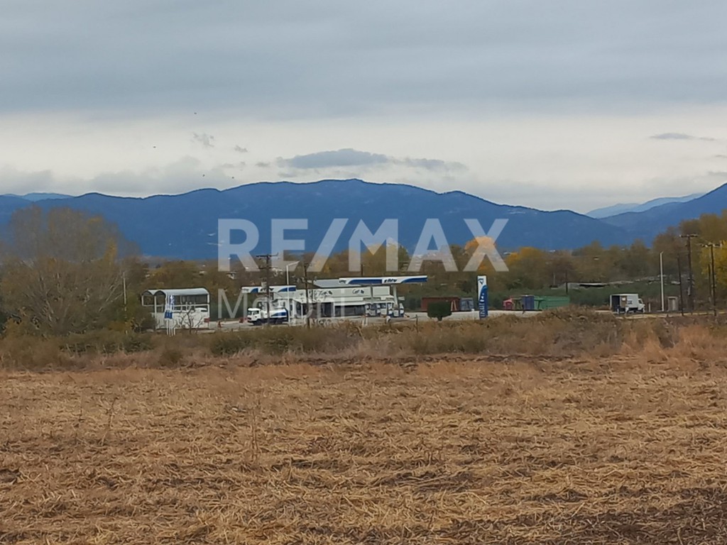 Αγροτεμάχια 10.250 τ.μ. προς πώληση, Ν. Ροδόπης, Αίγειρος