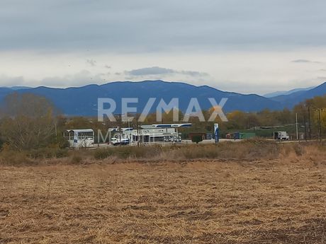 Αγροτεμάχια 10.250 τ.μ. για πώληση
