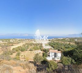 Αγροτεμάχια 10.200 τ.μ. για πώληση