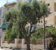 Land plot 113sqm for sale-Neos Kosmos » Agios Sostis