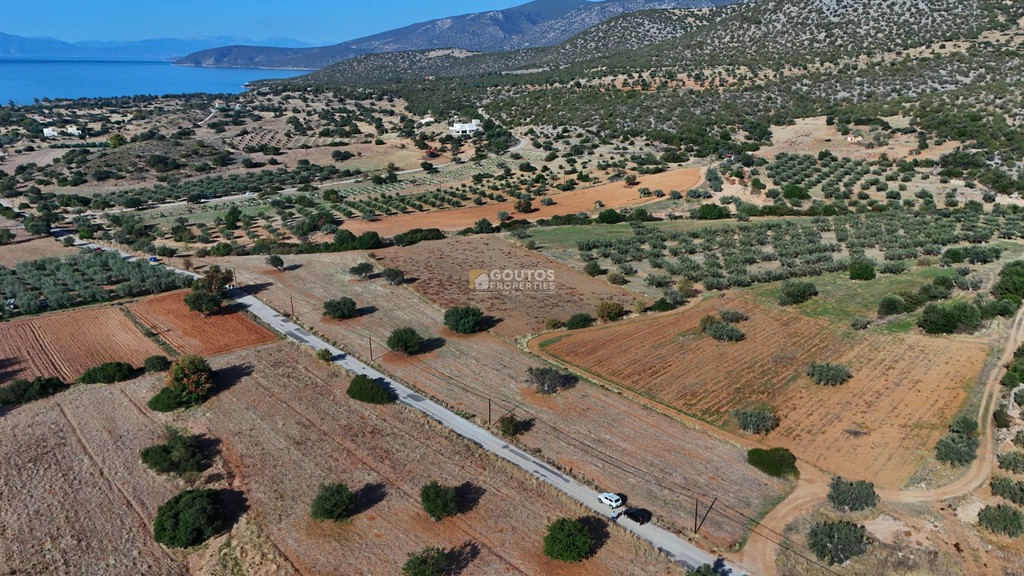 Οικόπεδο 8.599 τ.μ. προς πώληση, Λάκκες Κρανιδίου